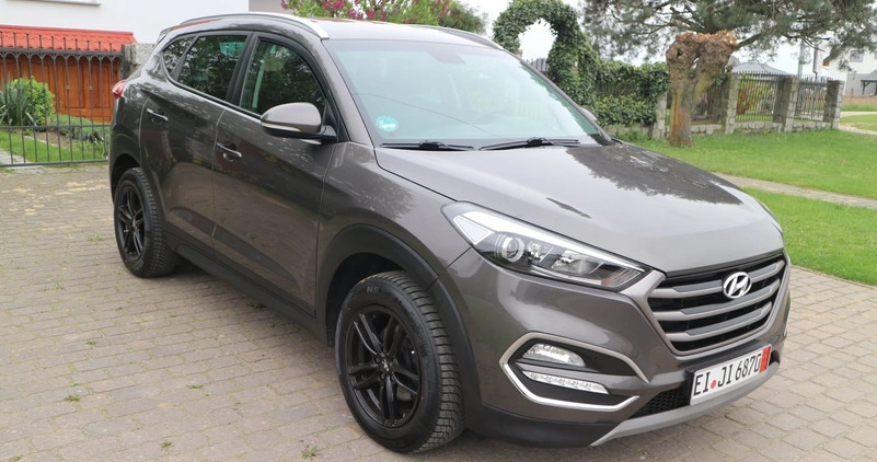 Hyundai Tucson cena 66900 przebieg: 96000, rok produkcji 2017 z Oleśnica małe 92